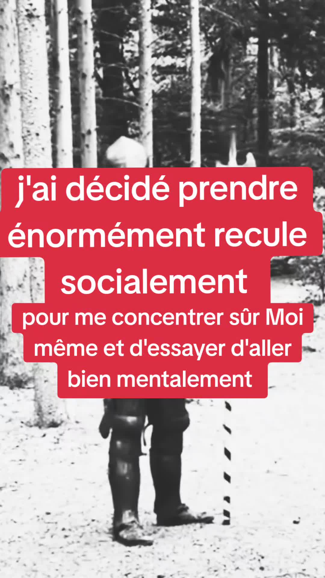 @le norv&eacute;gien aigris