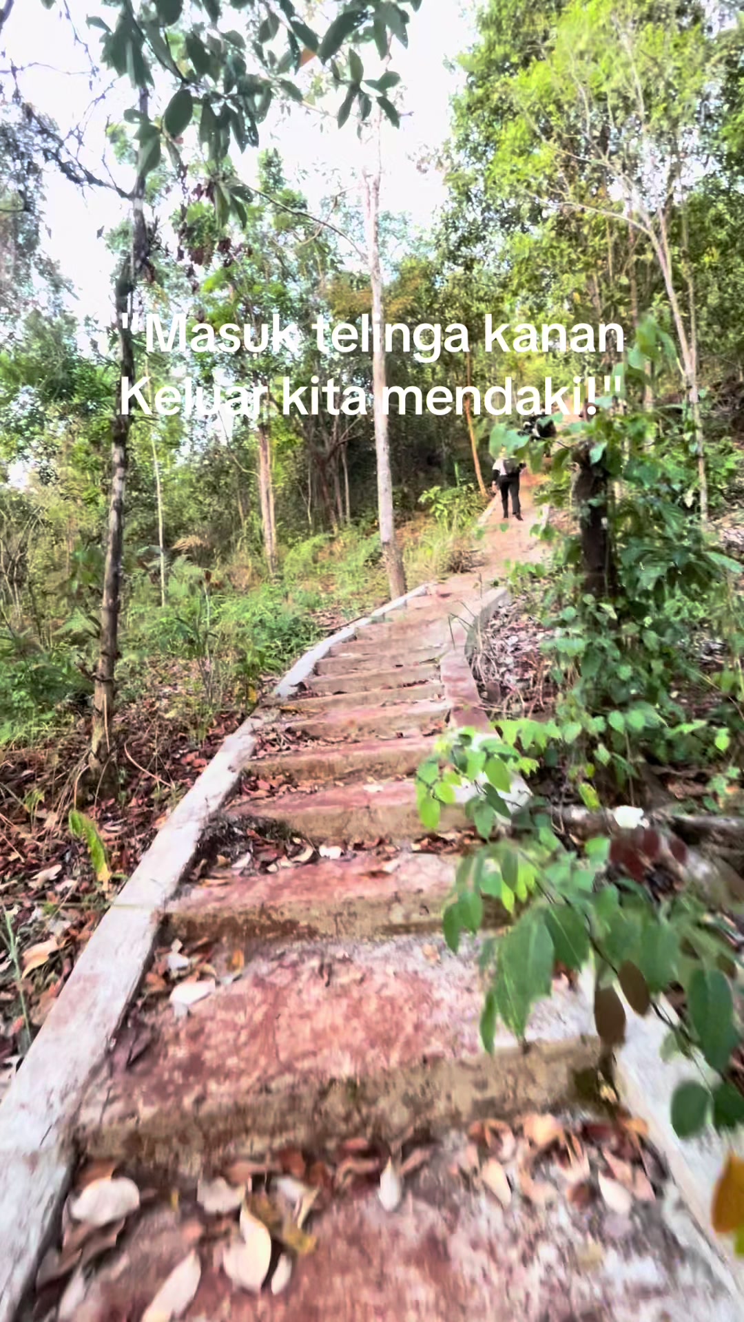 @semestyaraya