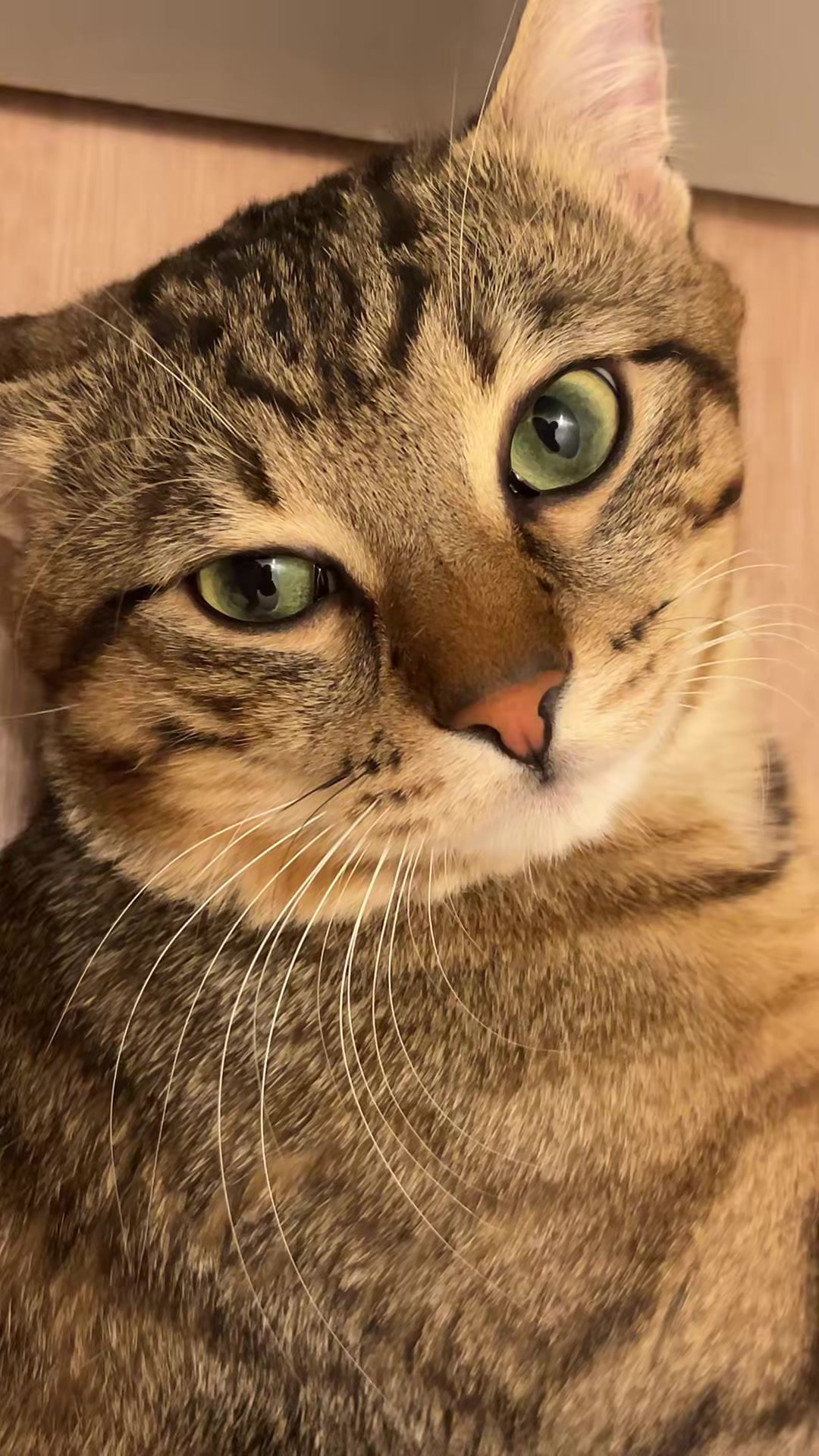@❤️❤️❤️