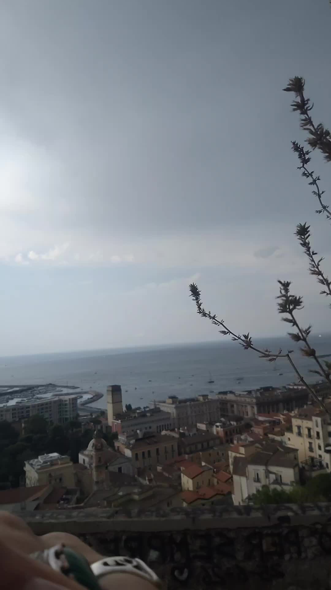 @FUEGOSSELVAGGIATYSON