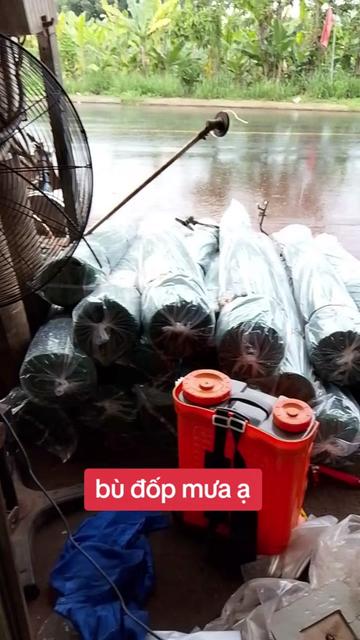 @Linh - Kim Kh&iacute; Điện M&aacute;y