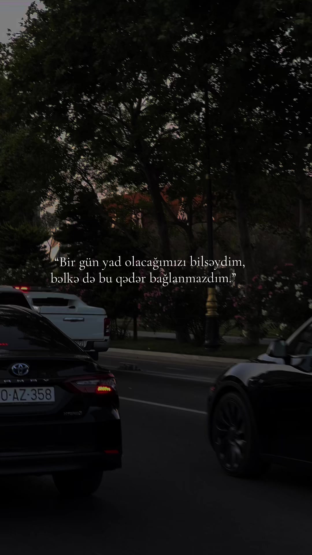 @kova_kadını_fafa