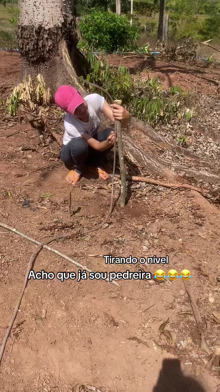 @elica mello