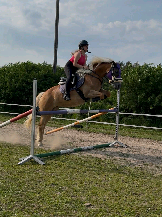 @TA OD KUCYK&Oacute;W🐴🐎