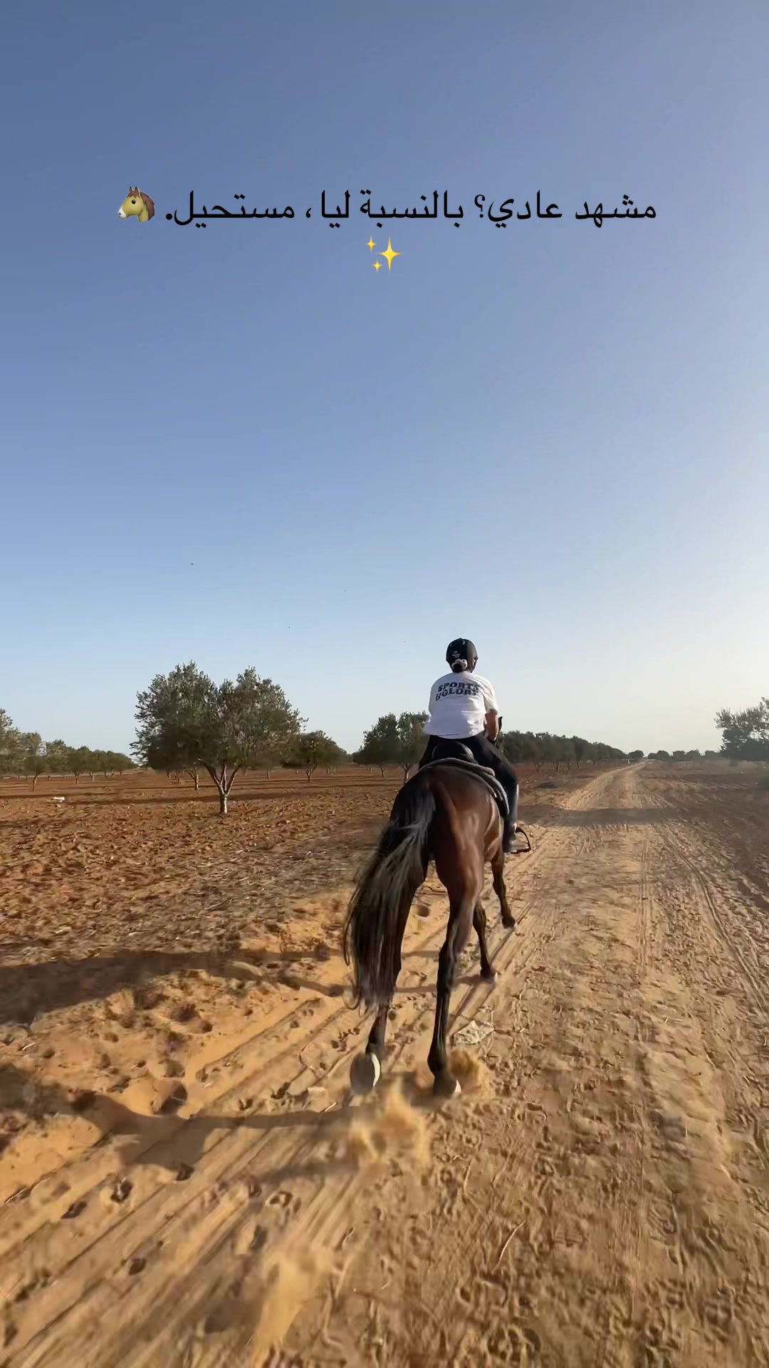 @Feres Ben Amor 🏇