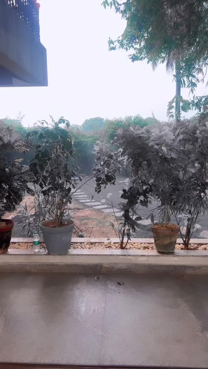 @vennila2313