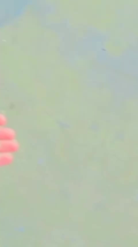 @⏤͟͟͞ •𝐏𝐔𝐊𝐇𝐓𝐎𝐎𝐍𓆪⎯꯭̽🌷