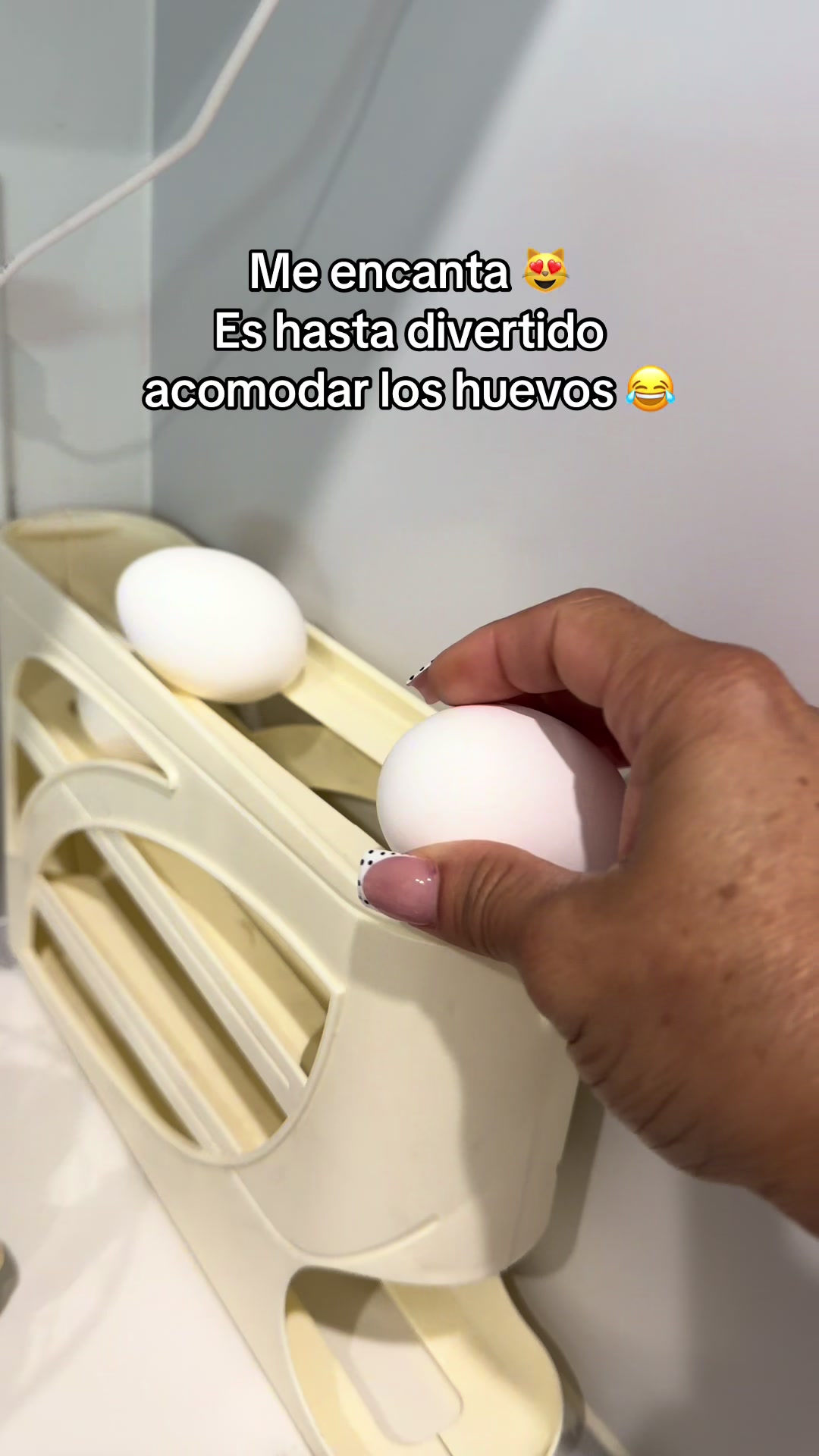 @alivalenciall