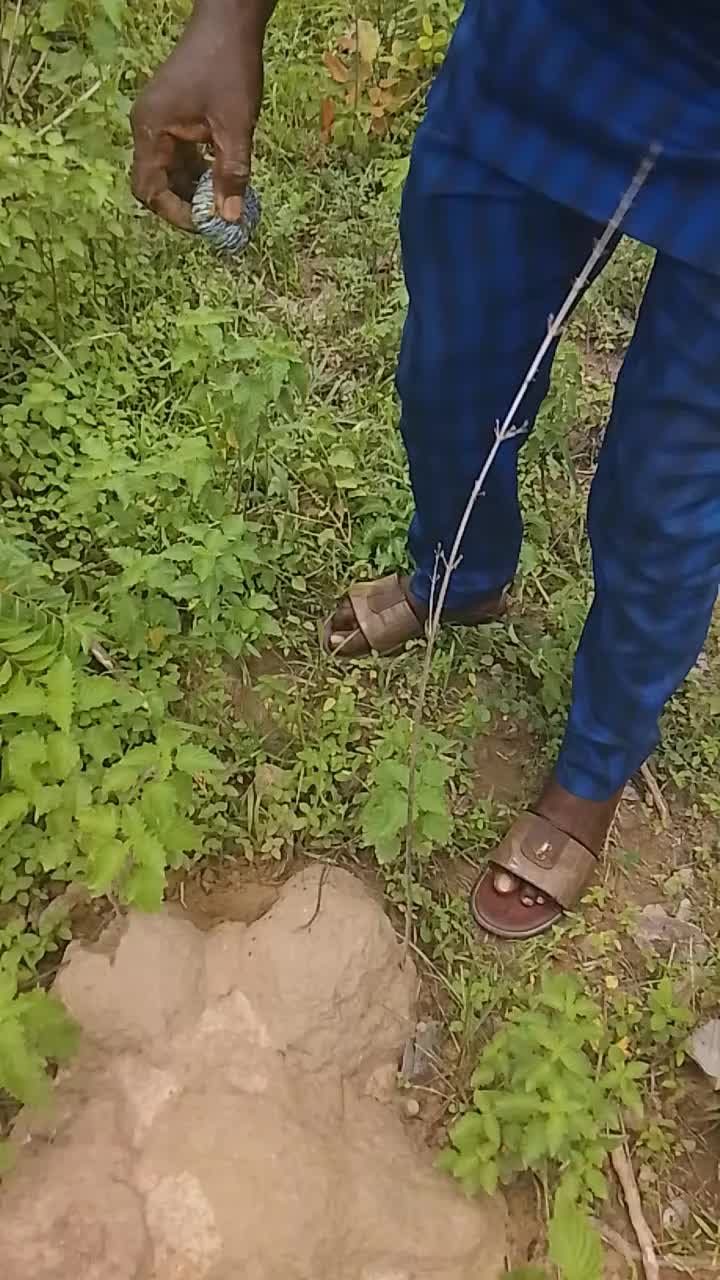 @Alfaopeyemitanmola2345