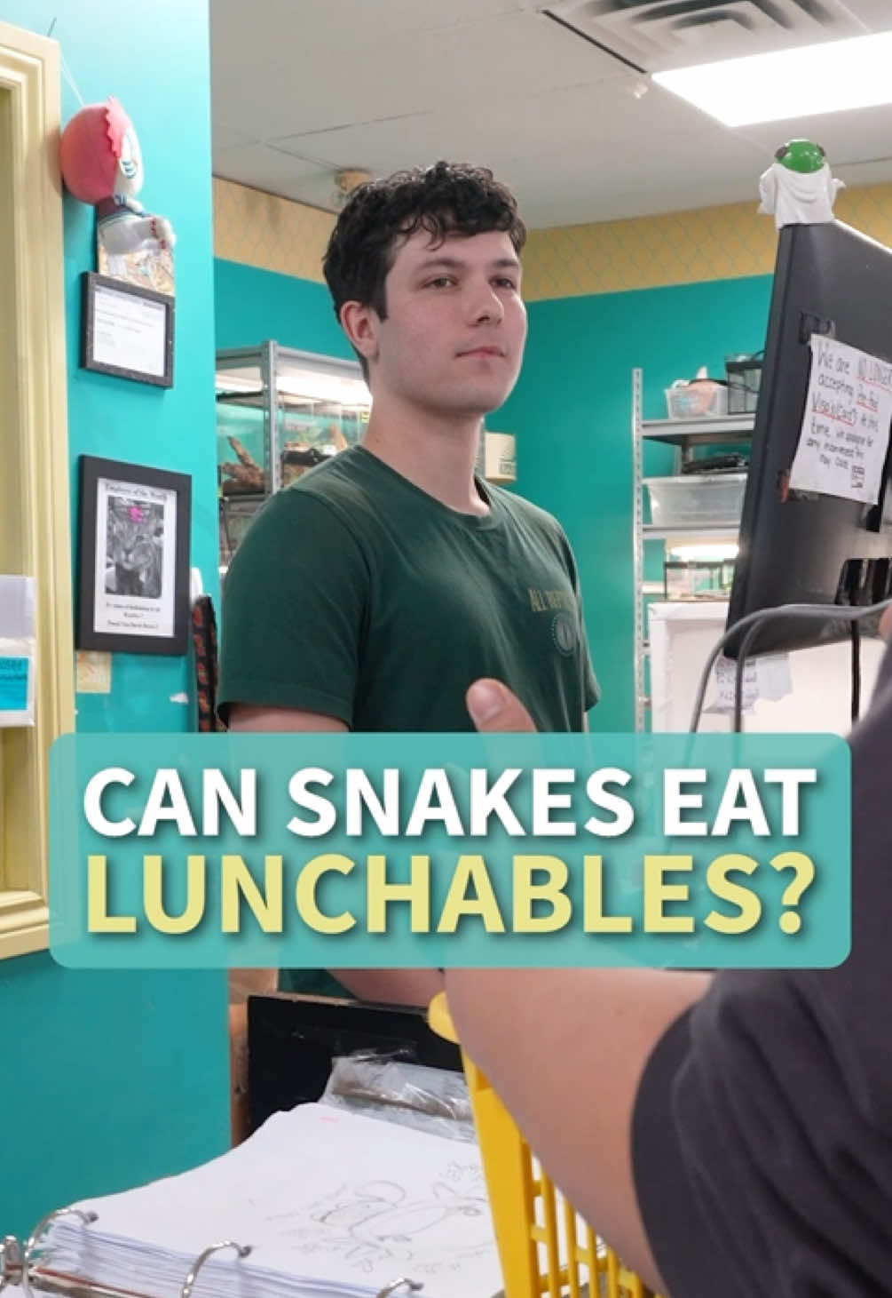 @All Reptiles