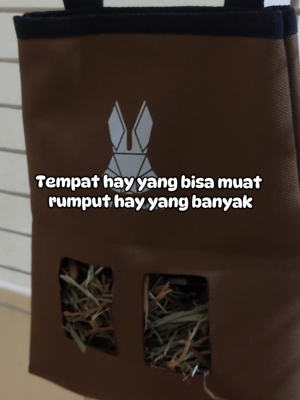 @Zada The Bunny