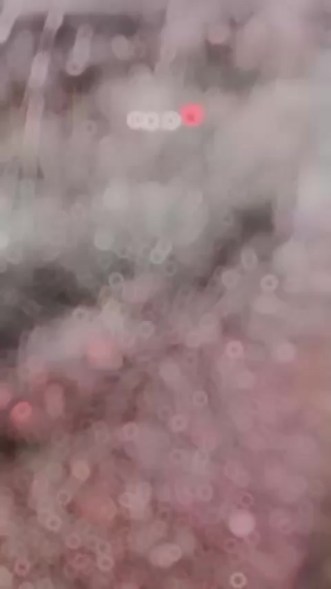 @☨♡𝓜𝓪𝓻𝓲♡☨
