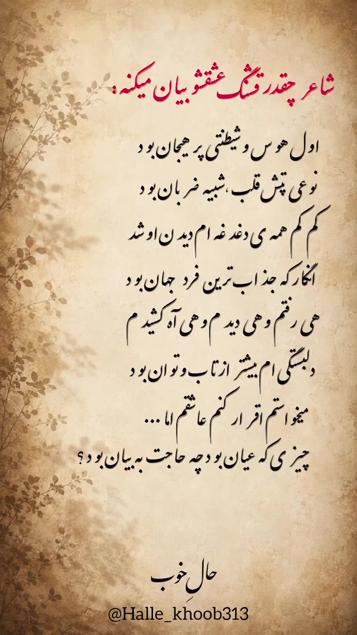 @niki sadat 🇦🇫