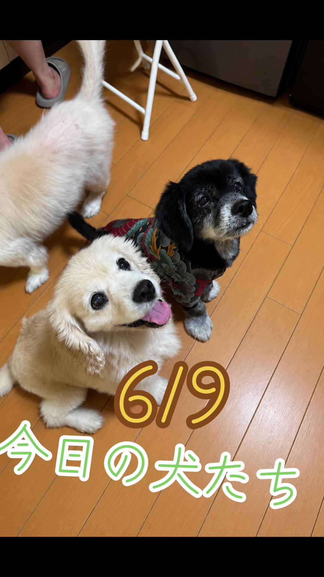 @オクラ