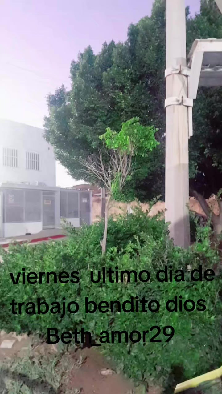 @bethsanchez_amor29