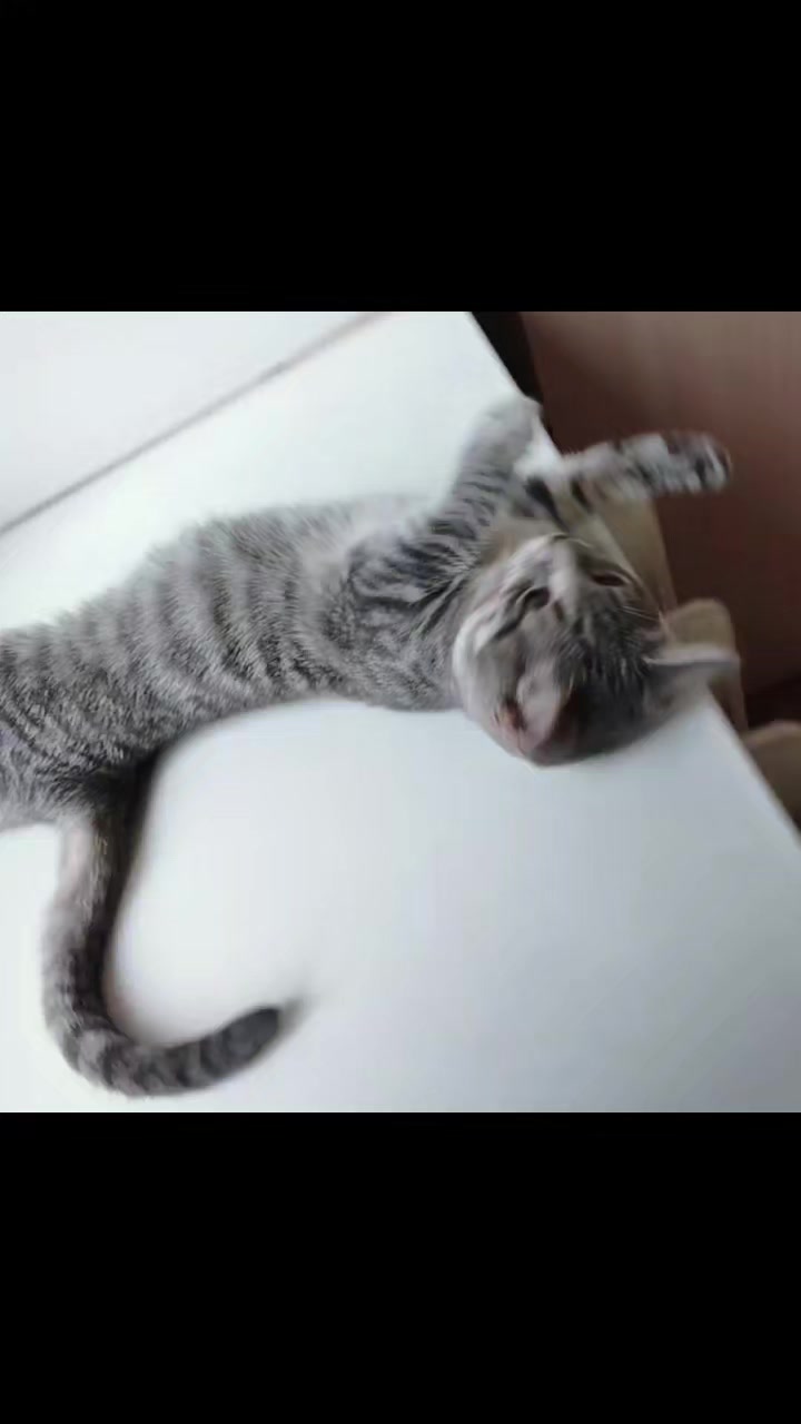 @𝐋𝐚𝐝𝐲✯𝐌𝐢𝐥𝐥𝐞𝐫