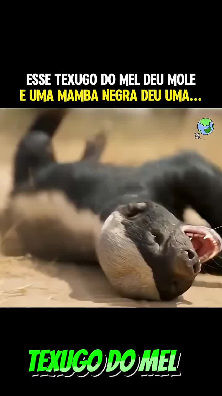 @AQUI VOCÊ VÊ