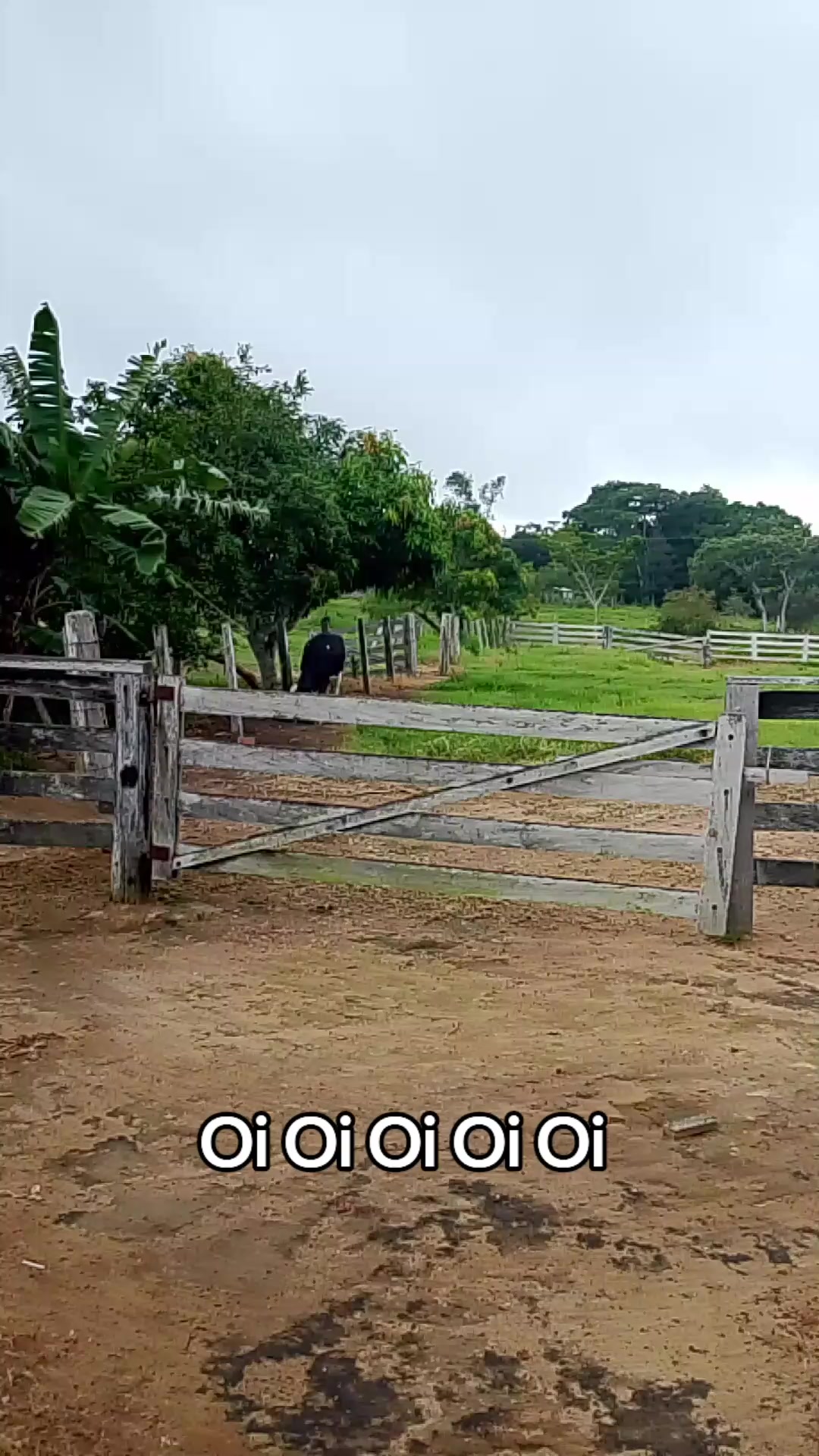 @Menina&Da roça🤠