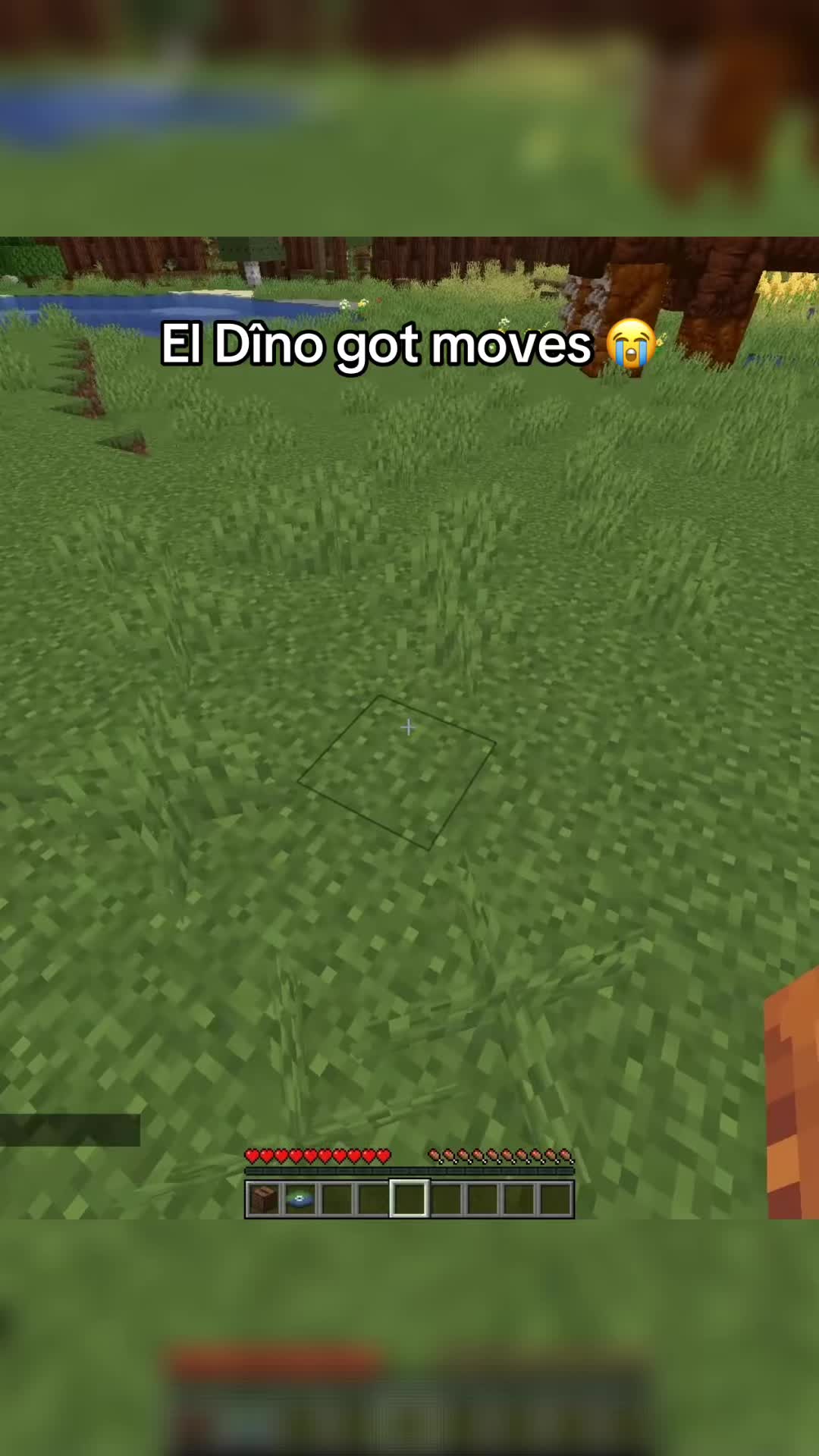 @Zala