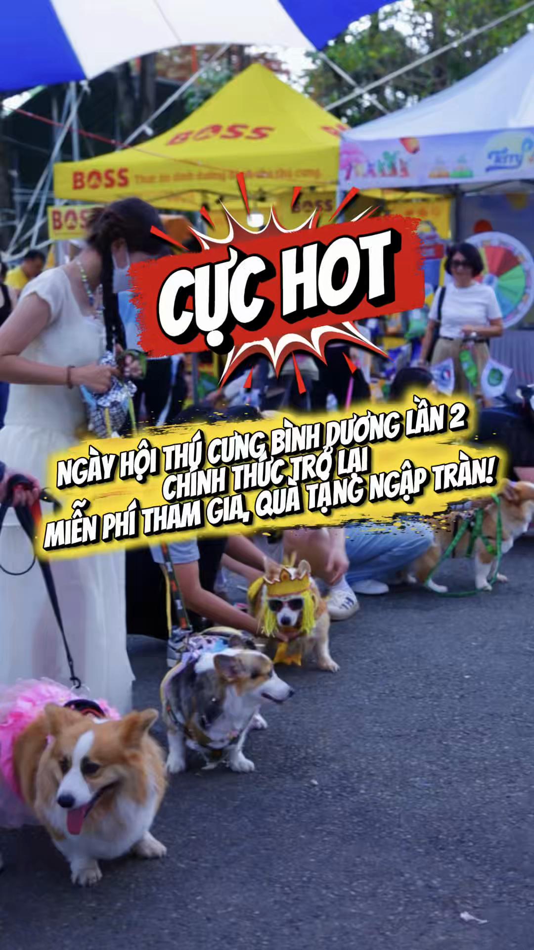 @R&Igrave; VIU B&Igrave;NH DƯƠNG