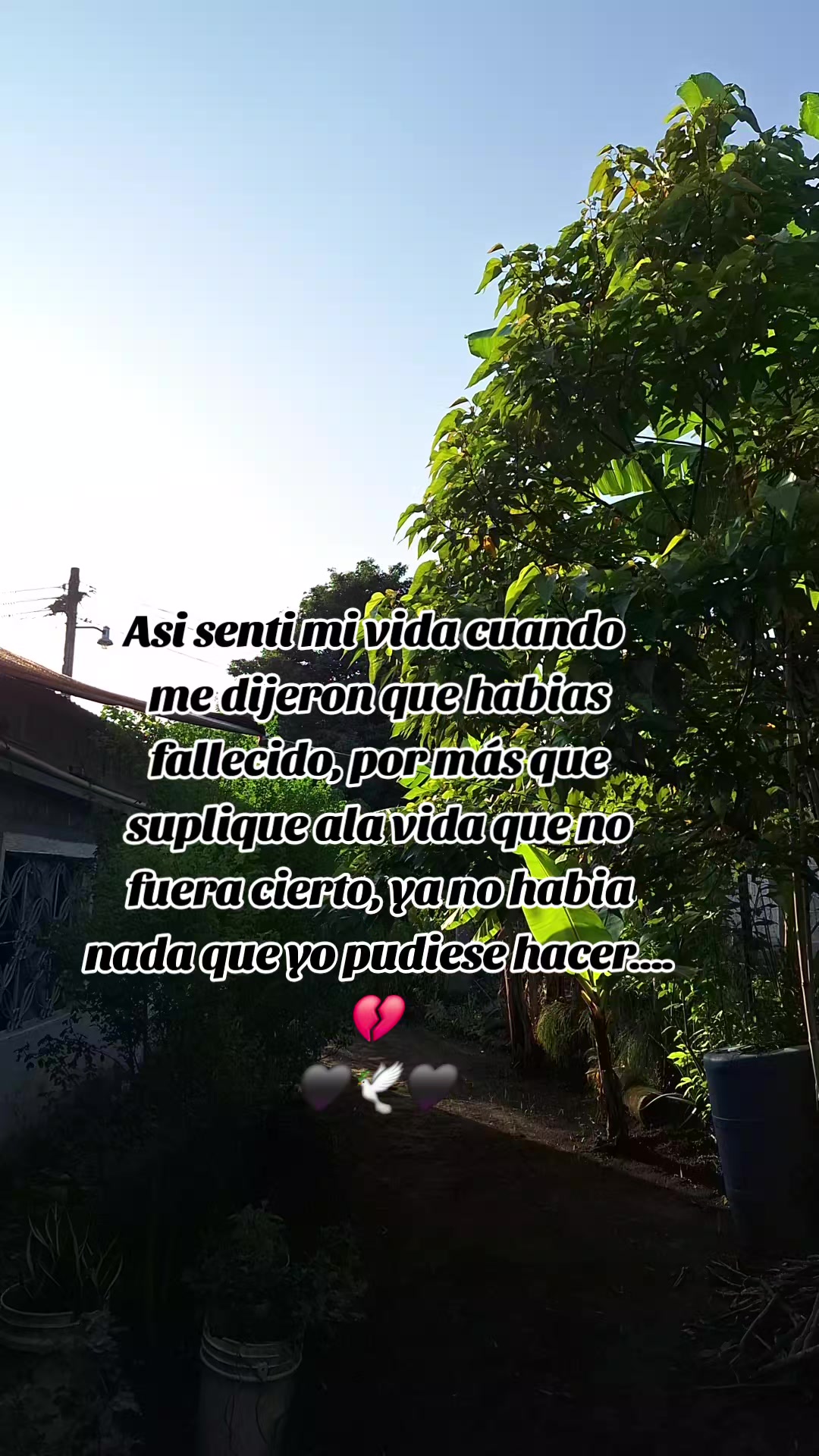 @🖤3str3lla🖤