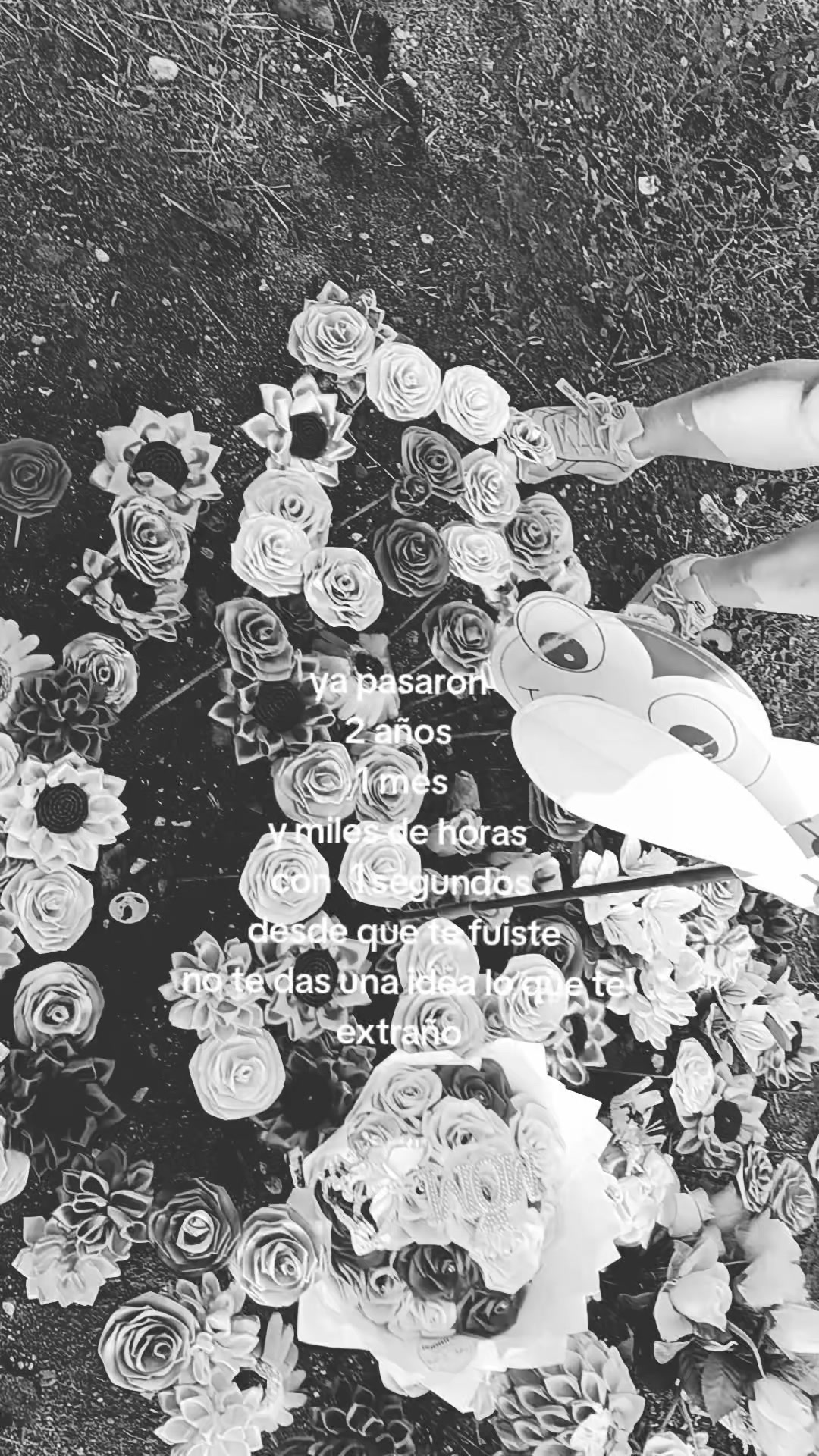 @Medina🙏🌹