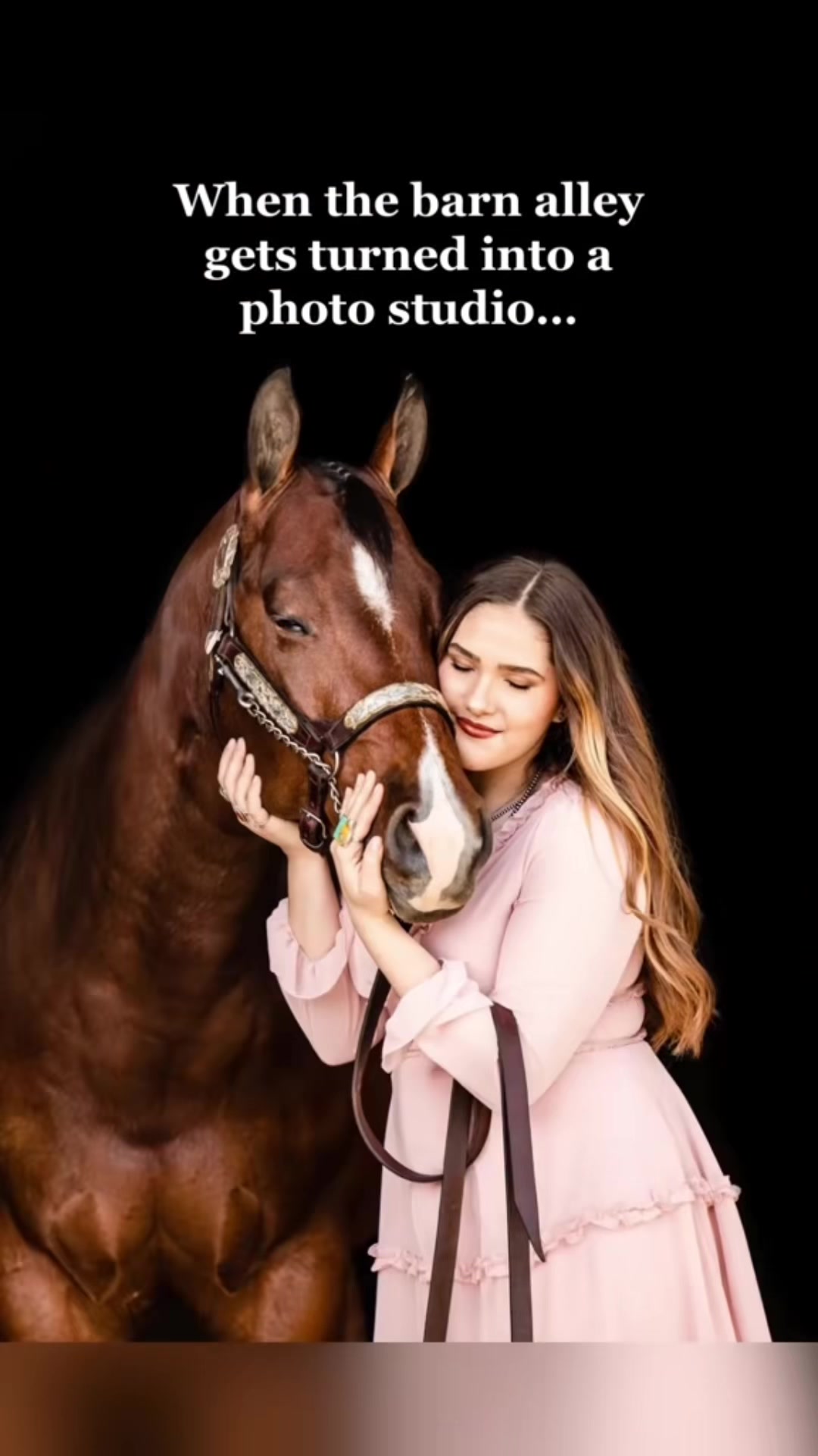 @Tisha 📸🦄 Equestrian Photog