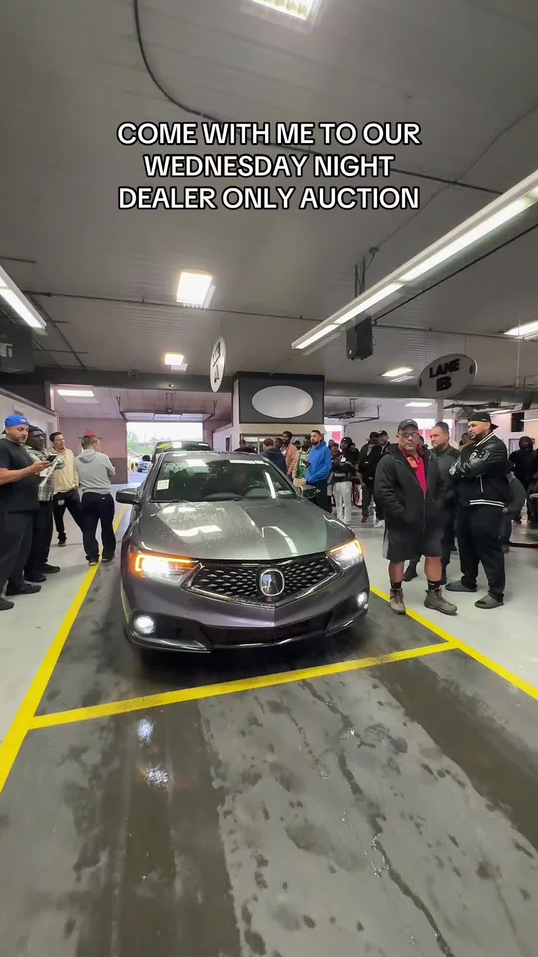 @Lehigh Valley Auto Auction