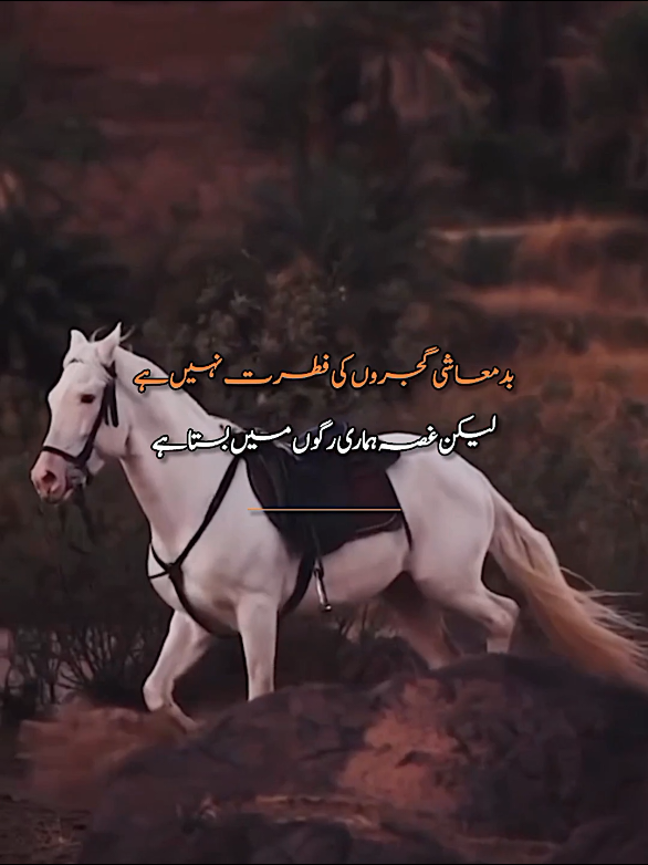 @ط🎀