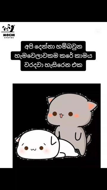 @<мσ¢нι ѕтαтυѕ🐼🤍