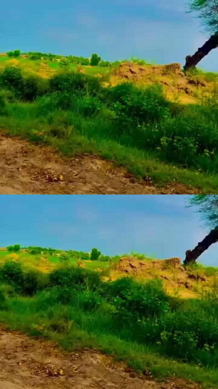 @M,Arshad kashmiri