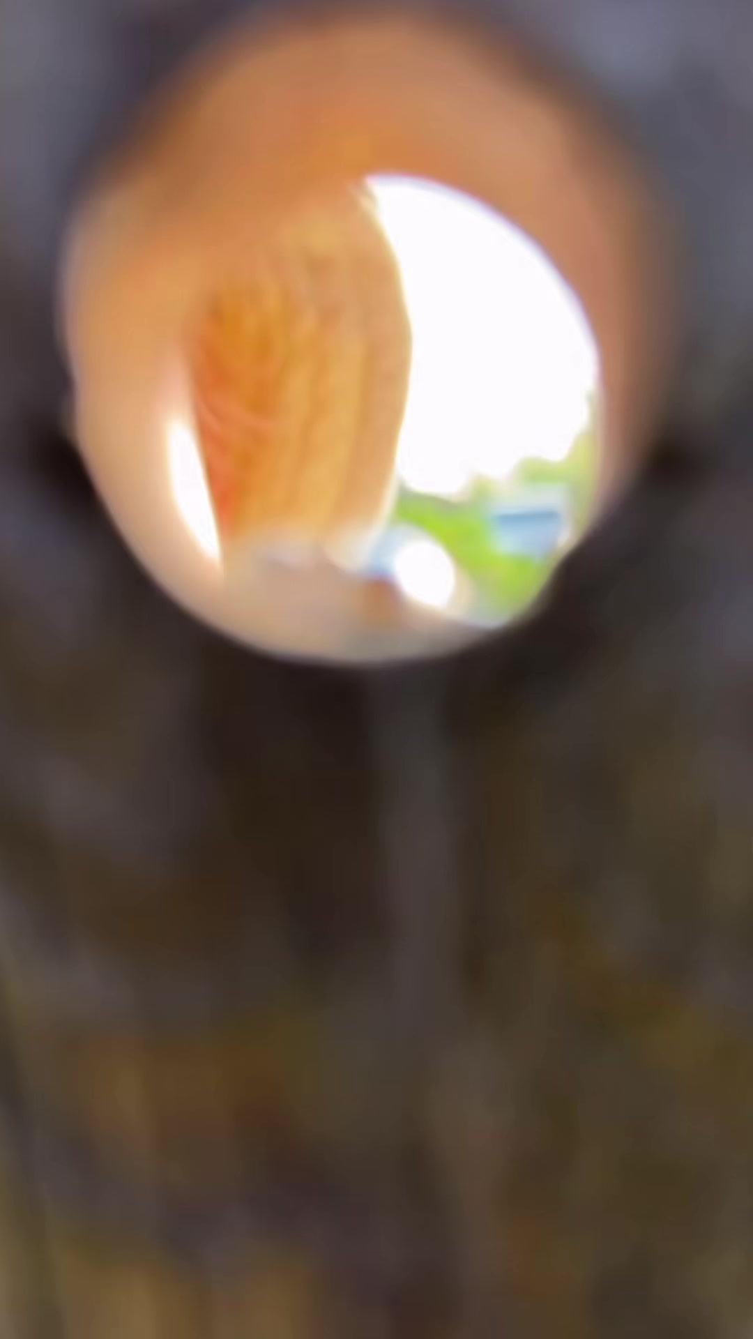 @🐆𝑭𝑬𝑳𝑰𝑵𝑶 🇧🇷🥷🦋⚕️🍁