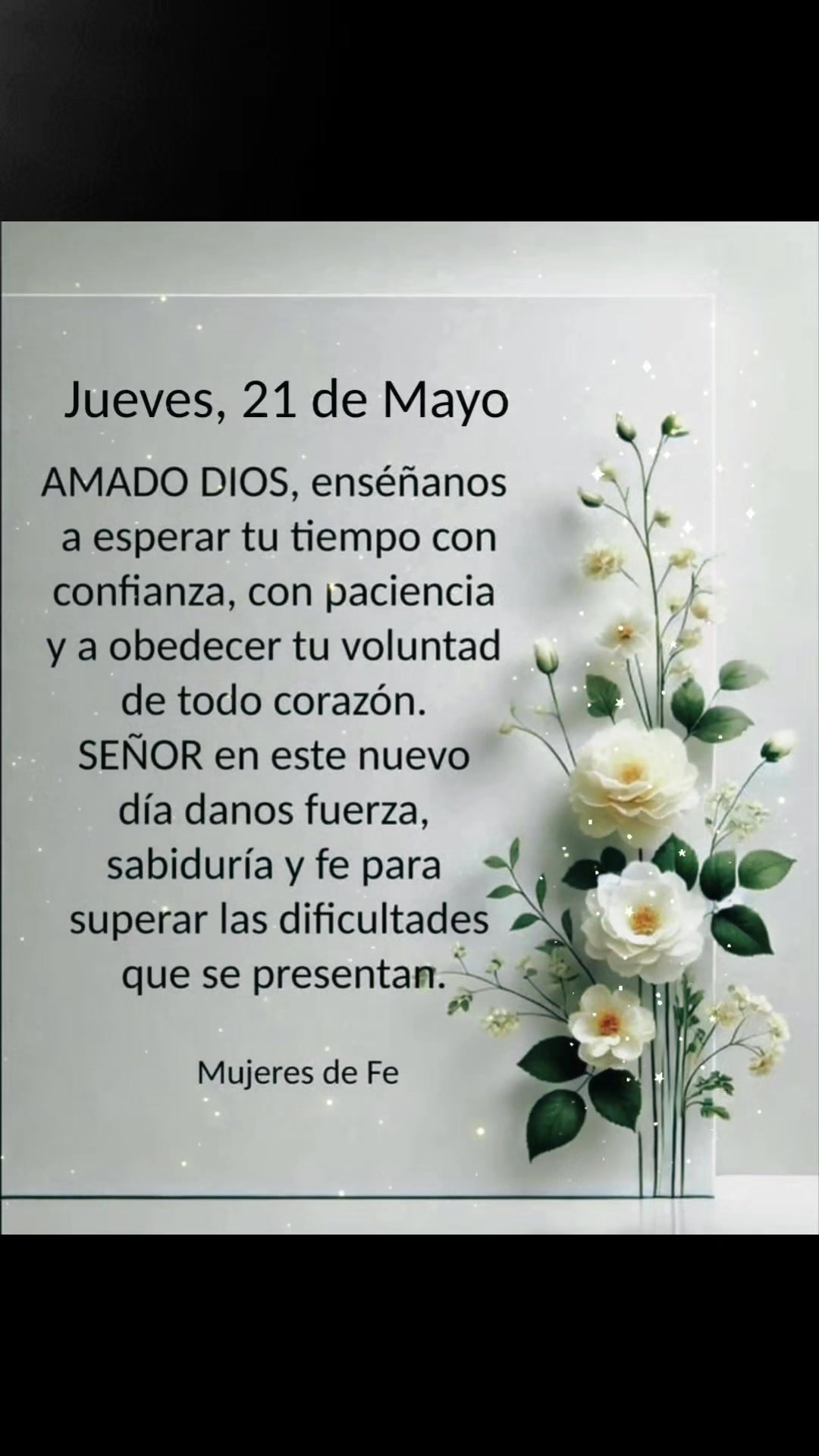 @Adriana MV