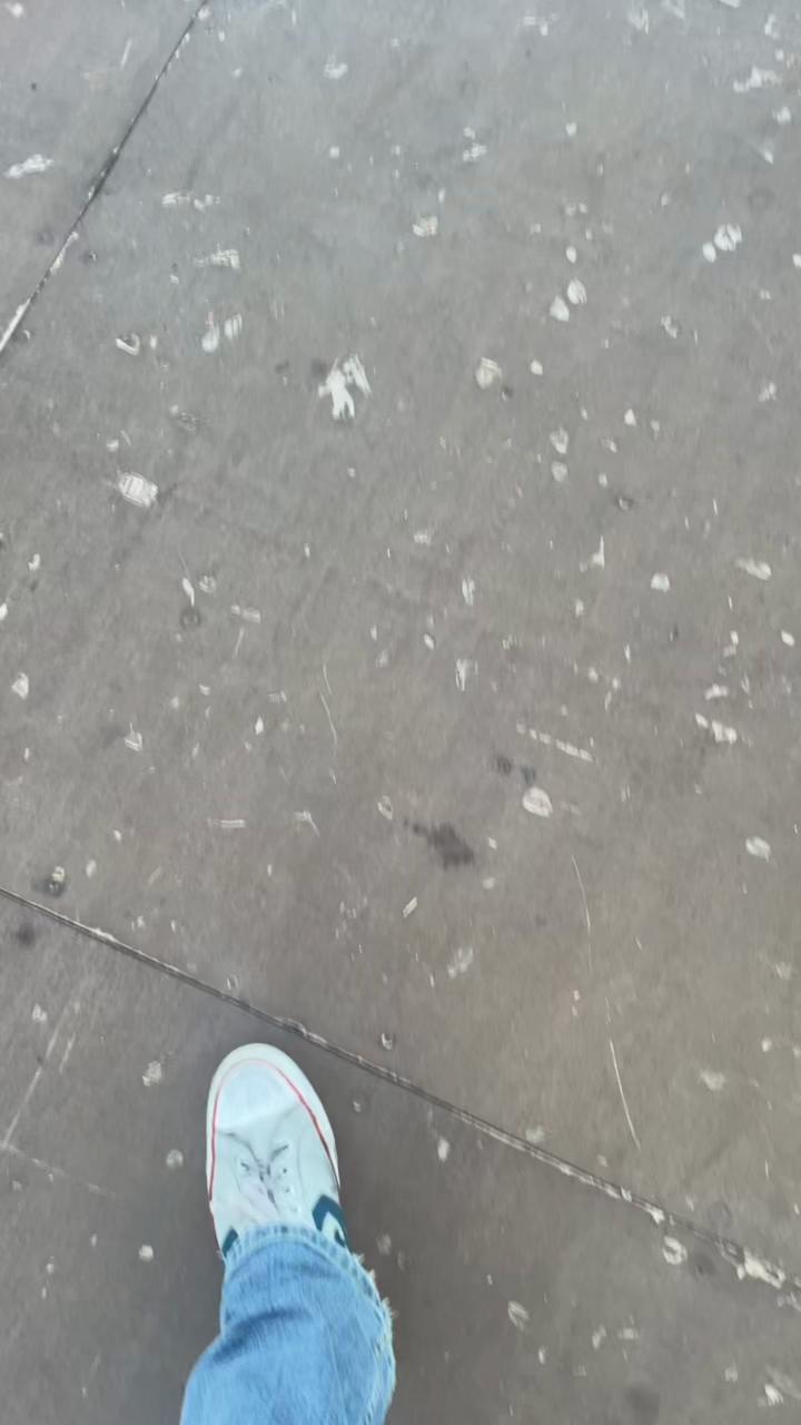 @merchantpig