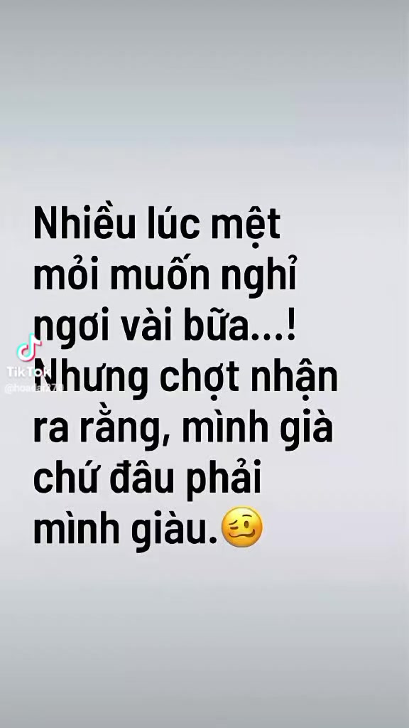 @Mr Linh