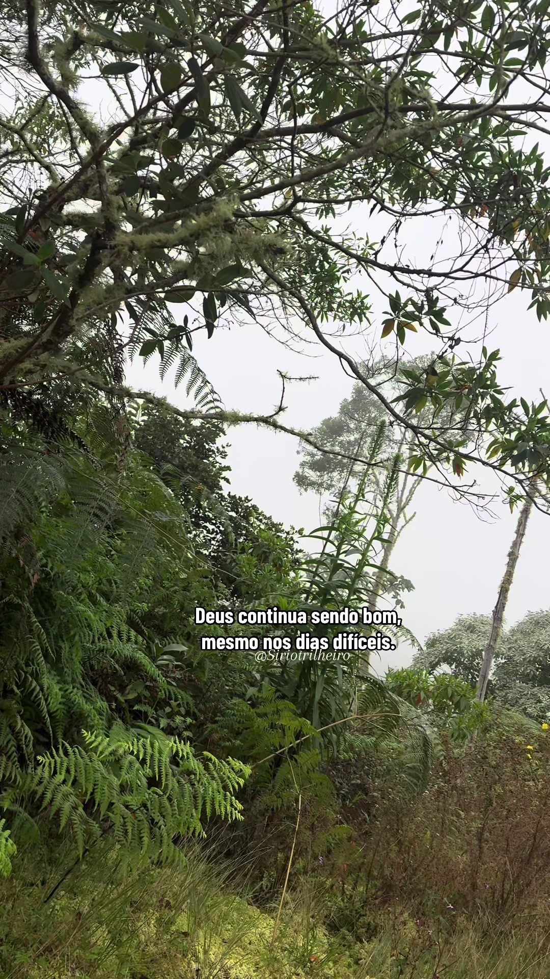 @Marcony