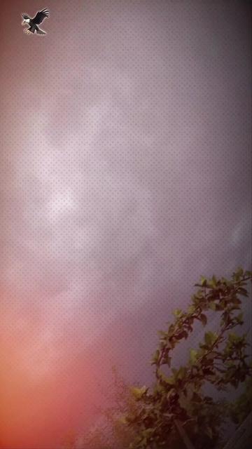 @༄ᴅᴀɴɪʏᴀʟ᭄ᴋʜᴀɴ࿐