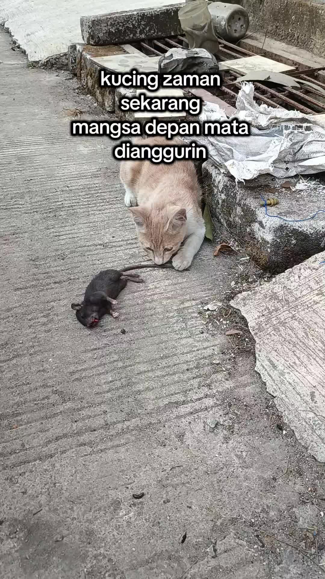 @Toko Bu Fia