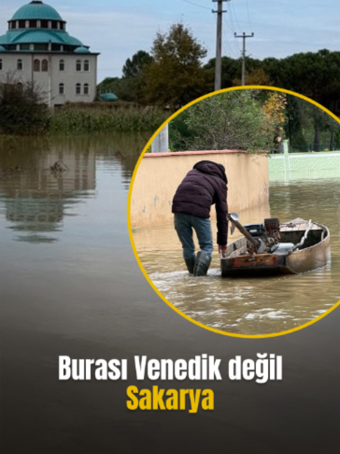 @Mynet