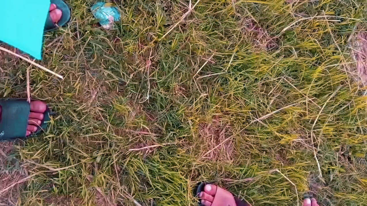 @ᏒᴅxܔᏰᎥᏕᏗᏝ࿐🇦🇷🇧🇩