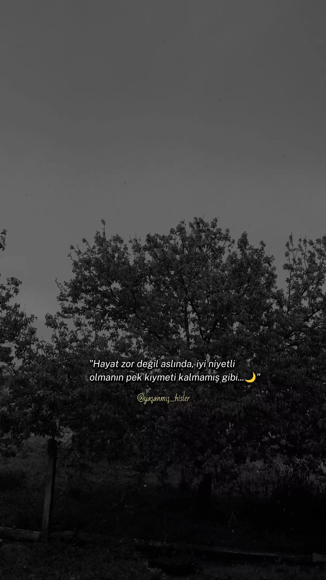 @•ʏᴀꜱ̧ᴀɴᴍɪꜱ̧ ʜɪ̇ꜱʟᴇʀ•