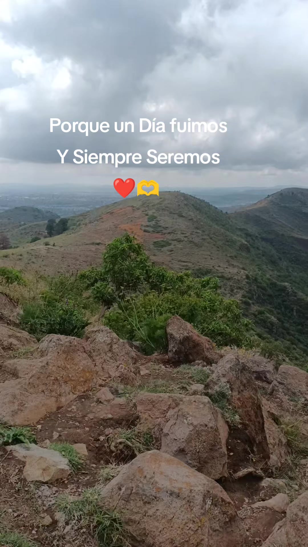 @Ellaesfiesta