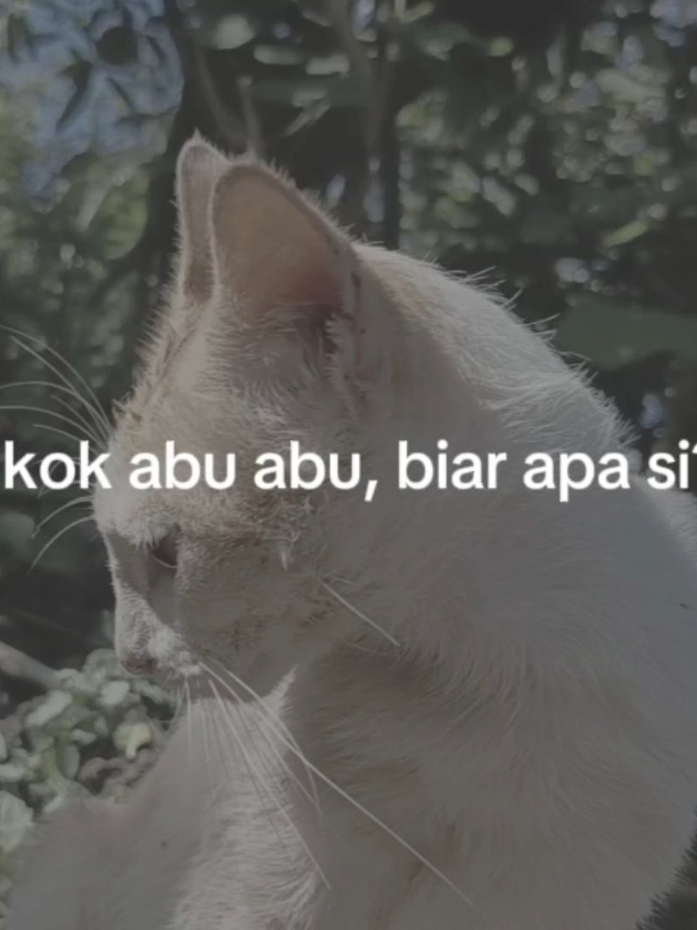 @Aziz Jafa