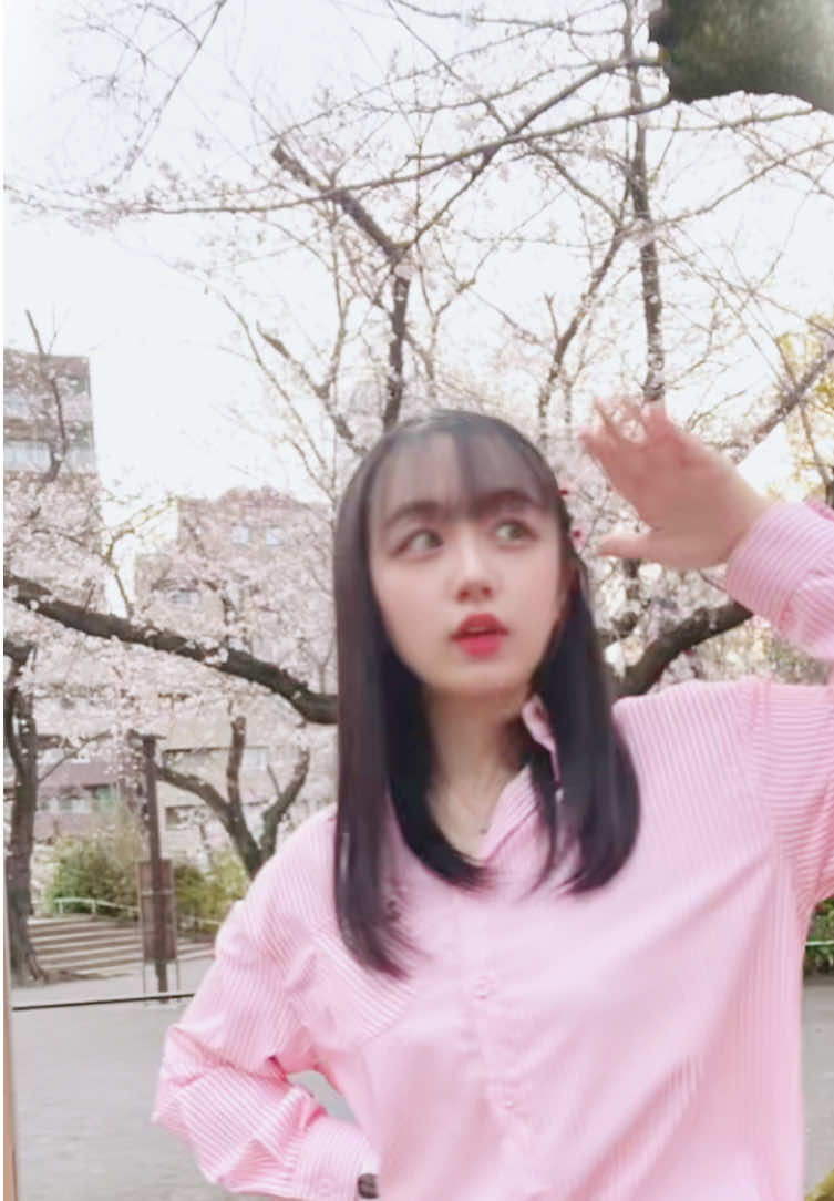 @深沢 優希