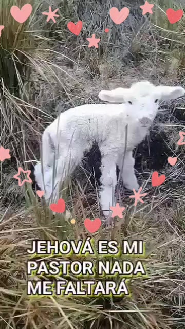 @@🕊j🤍u@&