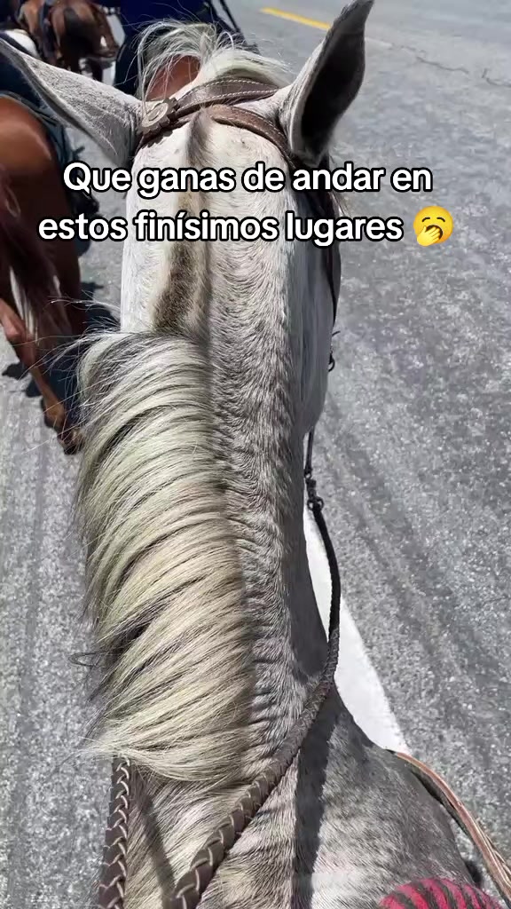 @Dos estados