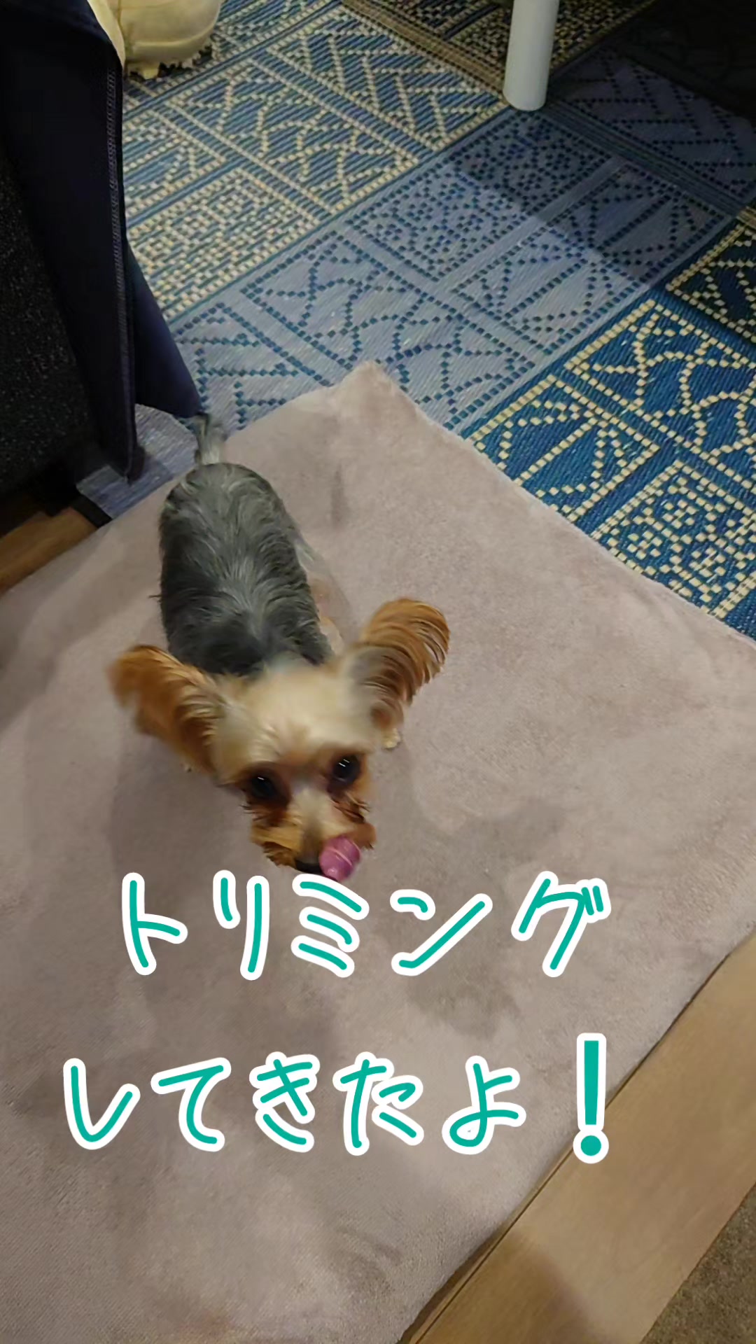 @🌏️🎀最後ののん🎀🌏️