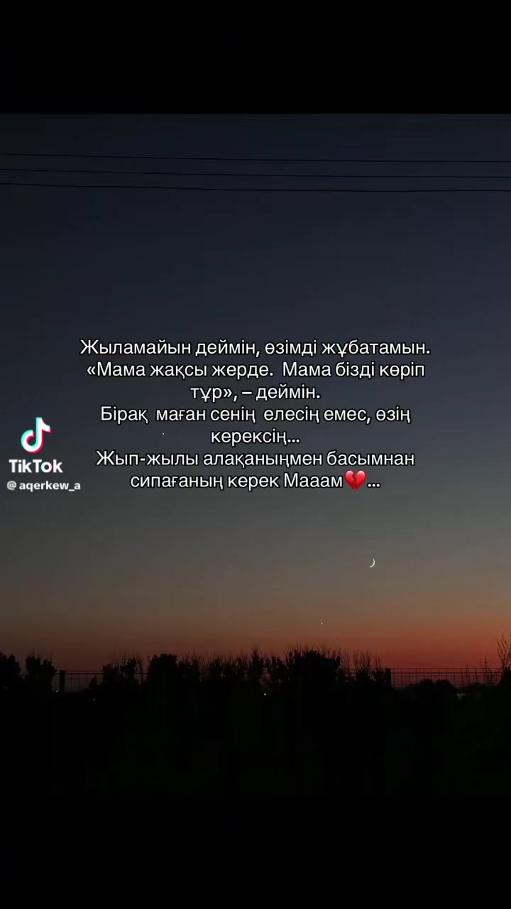 @༺🕊️ 𝓜𝓸𝓵𝓵𝓲 🕊️༻