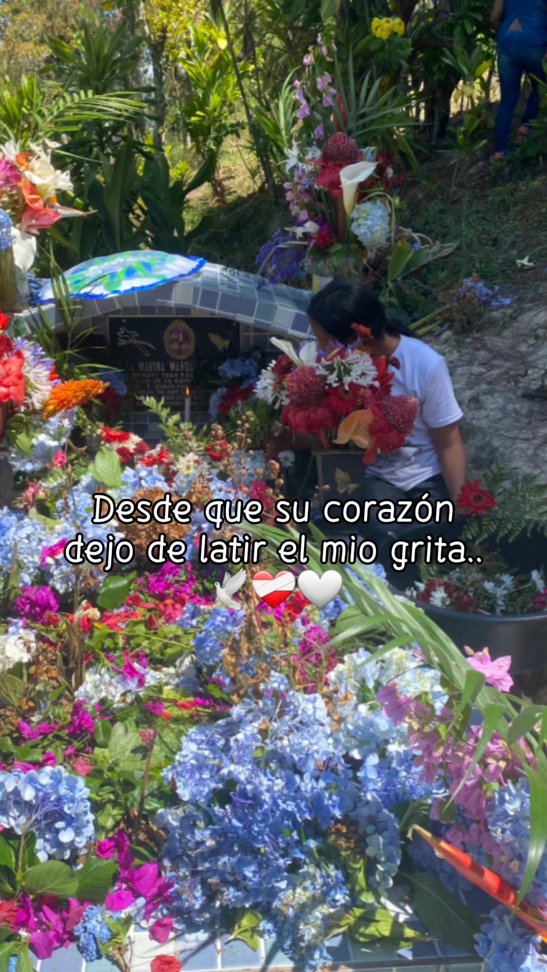 @ALICIA MARTINEZ 💙