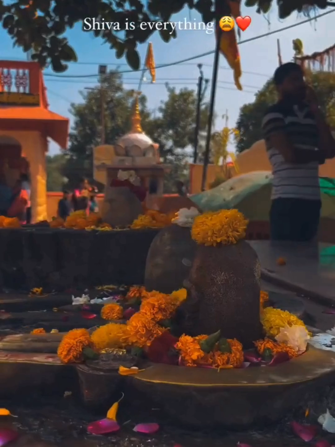 @➳🧡शिवभक्त 🚩🥀꧂